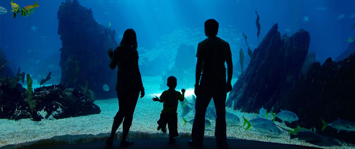 Hurghada Grand Aquarium